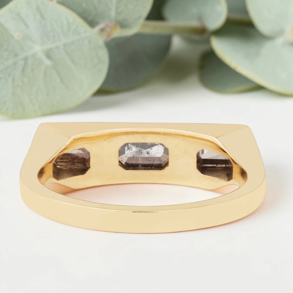 Emerald cut salt and pepper diamond bezel statement ring featuring a 1.20 CT natural center stone with two emerald cut side stones, handcrafted in a bold 4.50 mm reverse tapered minimalist fine jewelry design.