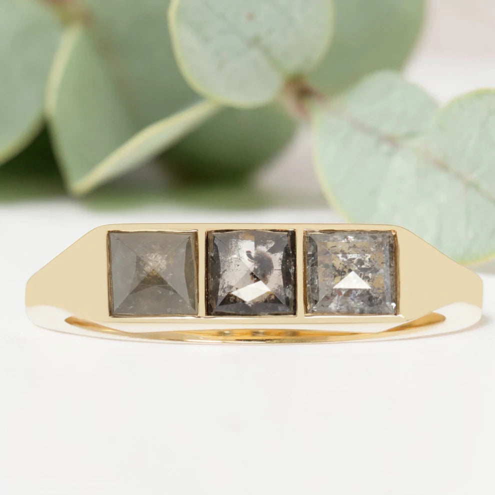 Princess cut salt and pepper diamond guardian bar engagement ring featuring a 0.95 CT gray natural diamond with unique inclusions, set on a reverse tapered handcrafted band in a modern vintage fusion design.