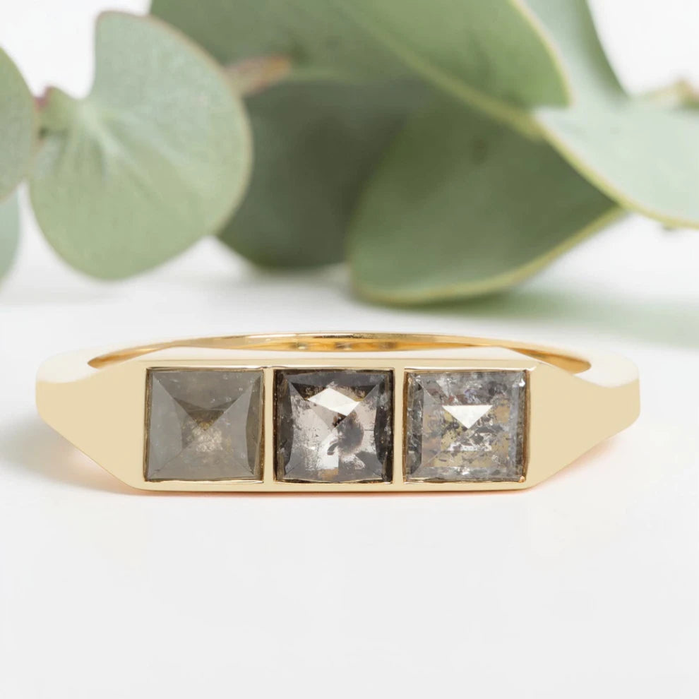 Princess cut salt and pepper diamond guardian bar engagement ring featuring a 0.95 CT gray natural diamond with unique inclusions, set on a reverse tapered handcrafted band in a modern vintage fusion design.